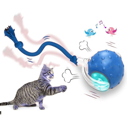 Interactive Cat Toy Ball – Super Drive Rolling Ball for Active Play & Exercise