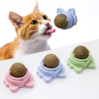 Catnip Wall Balls – Healthy Cat Toys for Teeth Cleaning & Chewing