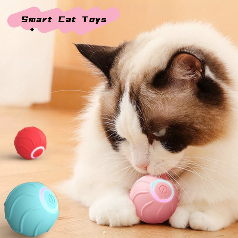 Smart Rolling Cat Toy Ball
