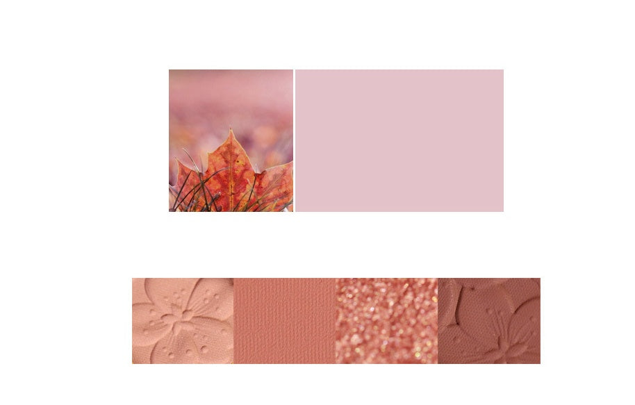 NOVO 4 Color Eyeshadow Palette