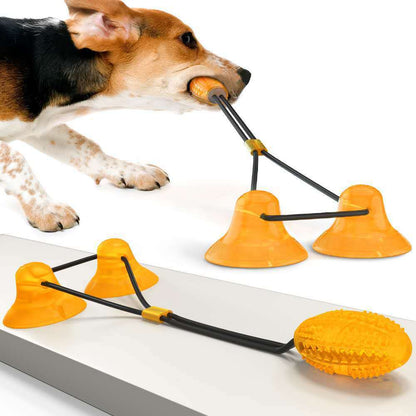 Suction Cup Pet Toy