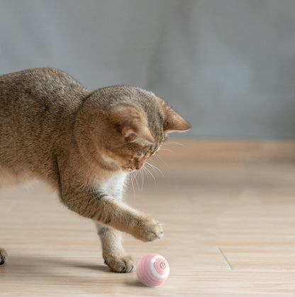 Automatic Bouncing Rolling Cat Toy Ball – Smart Self-Moving Interactive Toy for Kittens & Indoor Cats