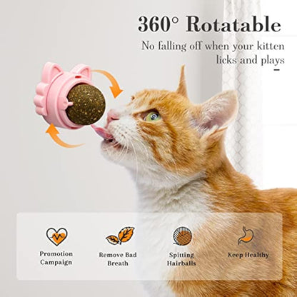 Catnip Wall Balls – Healthy Cat Toys for Teeth Cleaning & Chewing