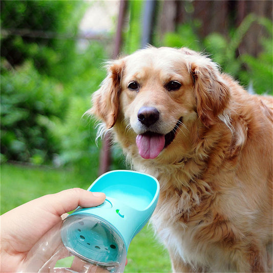 Portable Pet Water Bottle & Cup – Outdoor Travel Drinking Bottle for Dogs & Cats