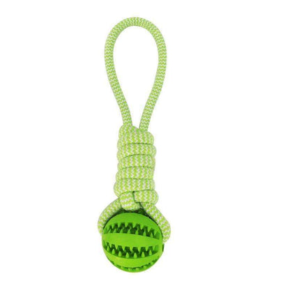 Interactive Dog Treat Chew Ball