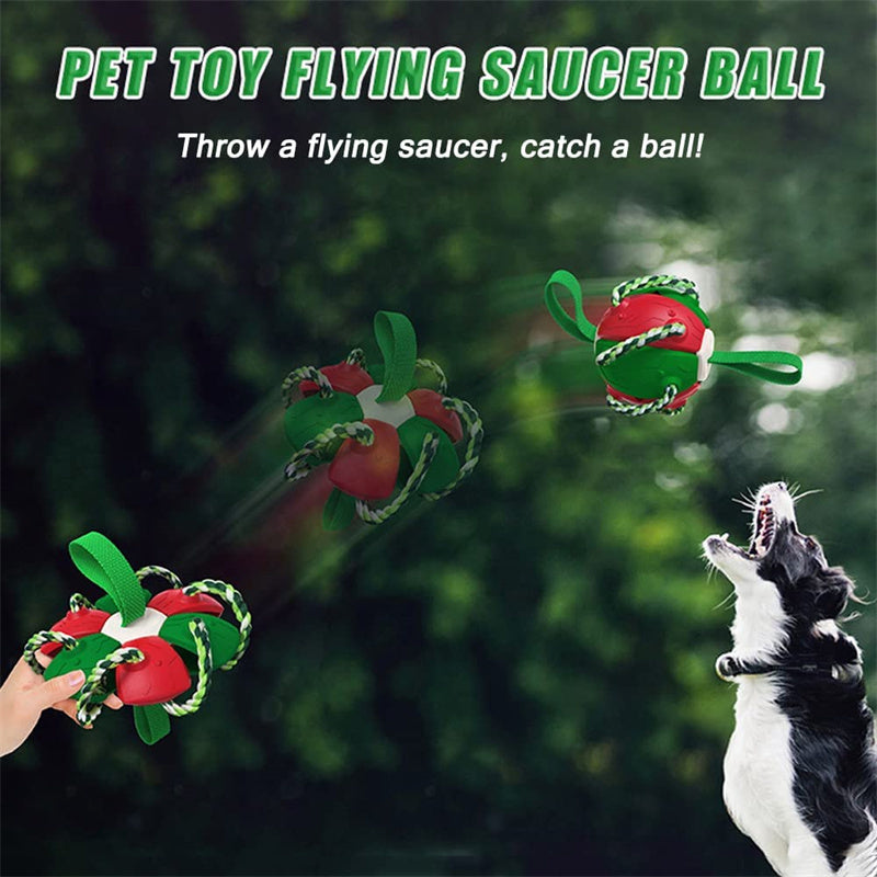 Interactive Dog Soccer Ball Toy