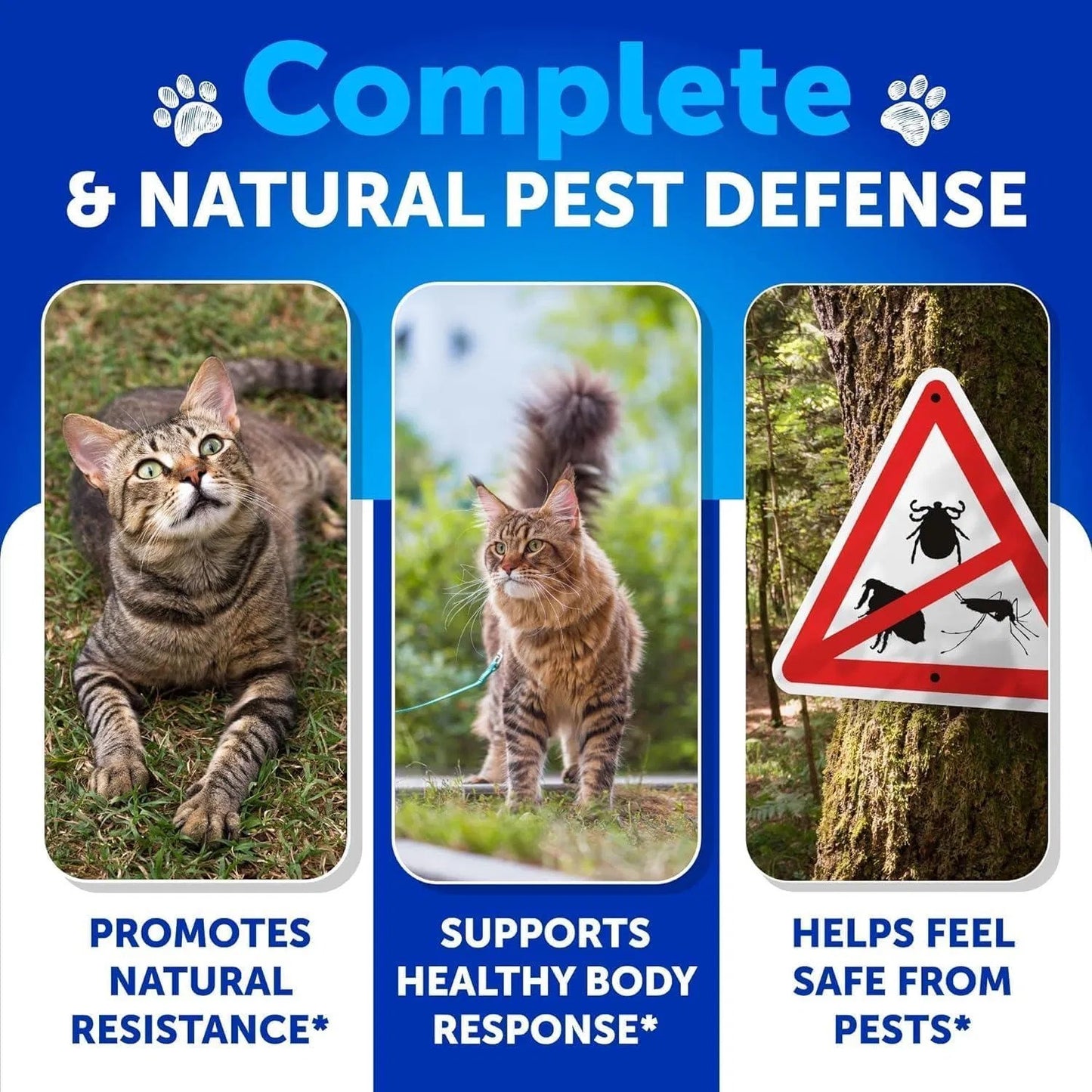Cat Flea & Tick Chews – Natural Daily Oral Supplement with Vitamins for Skin, Coat & Digestion (135 Soft Chews)