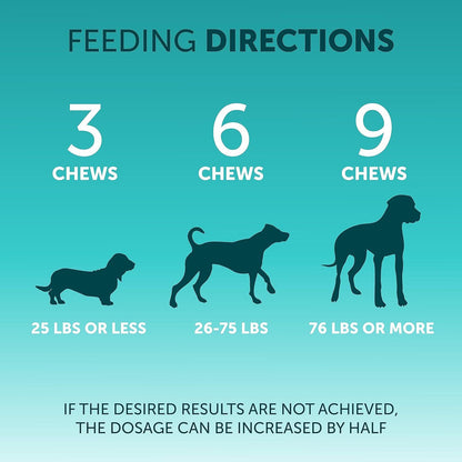 Pet Intestinal Probiotic Chewable Tablets – Digestive Health for Dogs