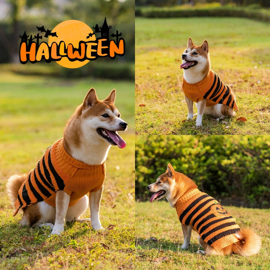 Halloween Dog Sweater – Cosplay & Warm Pet Outfit
