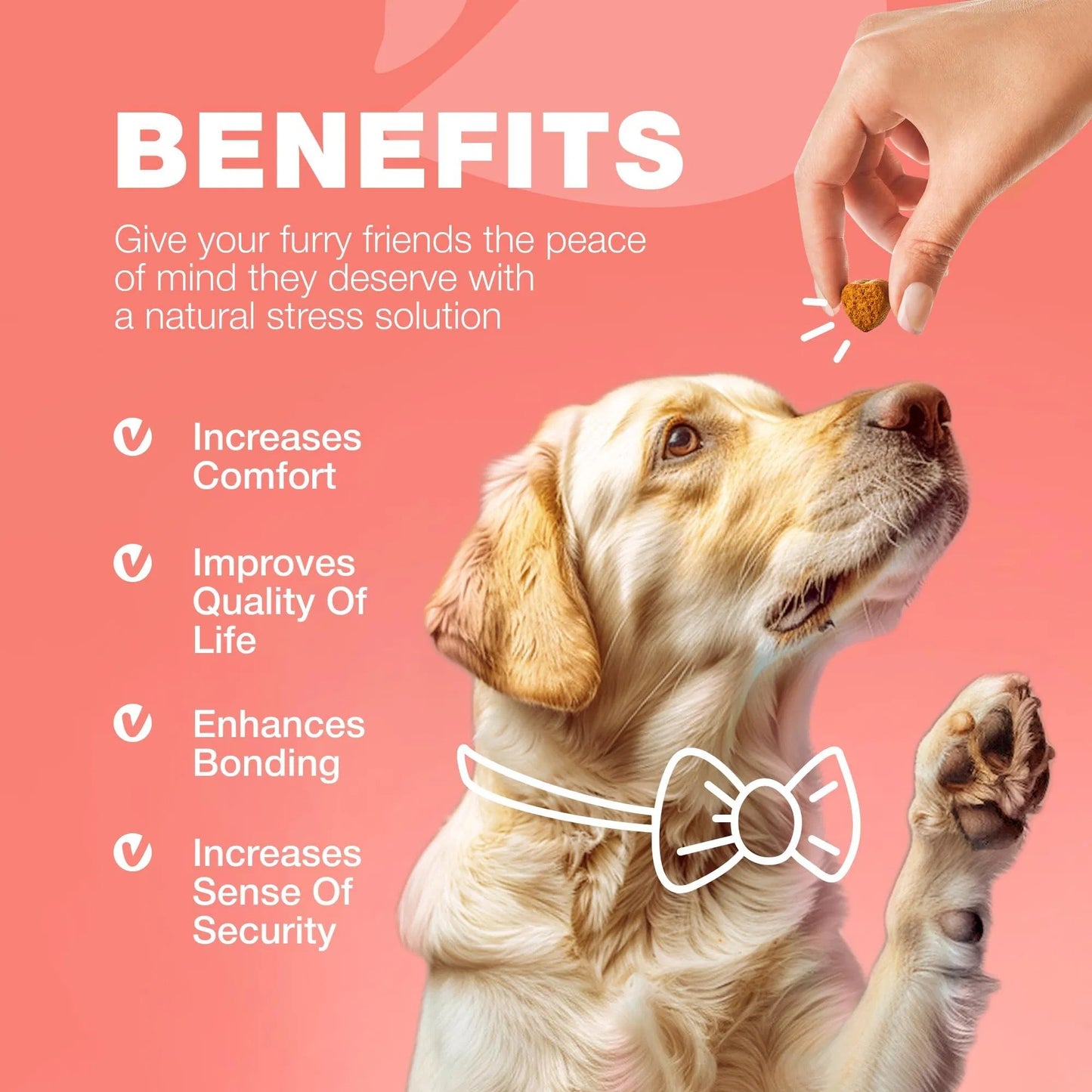 Dog Flea & Tick Chews – Natural Soft Treats for Prevention & Immune Support