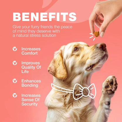 Dog Flea & Tick Chews – Natural Soft Treats for Prevention & Immune Support