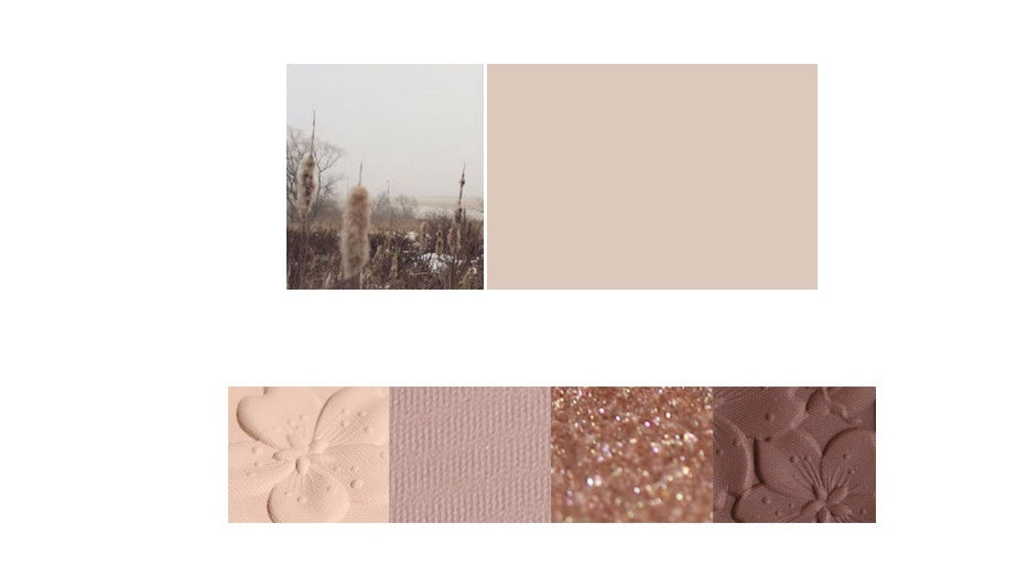 NOVO 4 Color Eyeshadow Palette