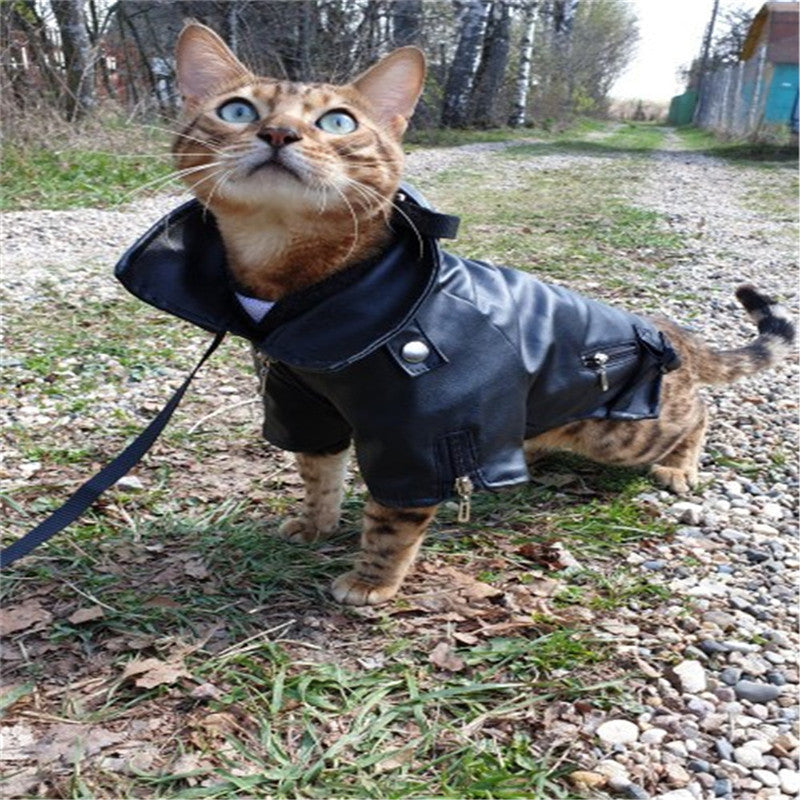 Dog Leather Jacket – Small Pet Outfit with Eagle Embroidery
