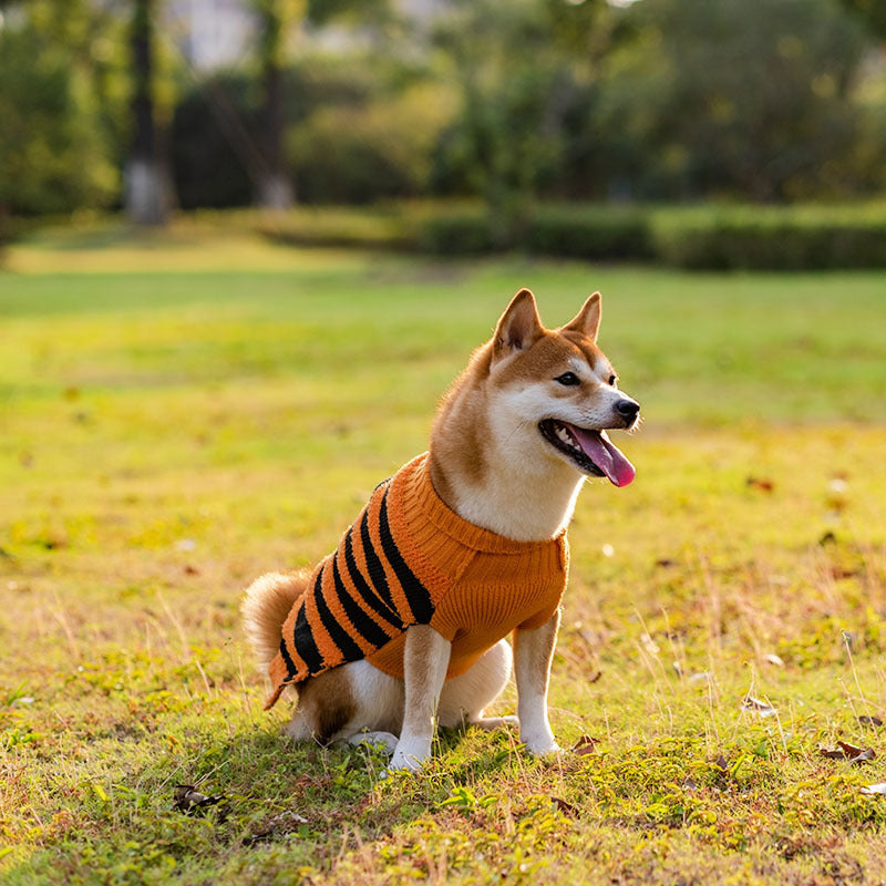 Halloween Dog Sweater – Cosplay & Warm Pet Outfit