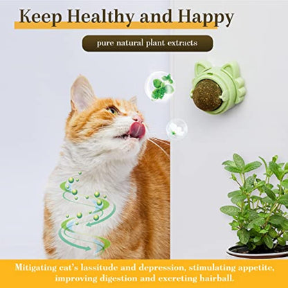 Catnip Wall Balls – Healthy Cat Toys for Teeth Cleaning & Chewing