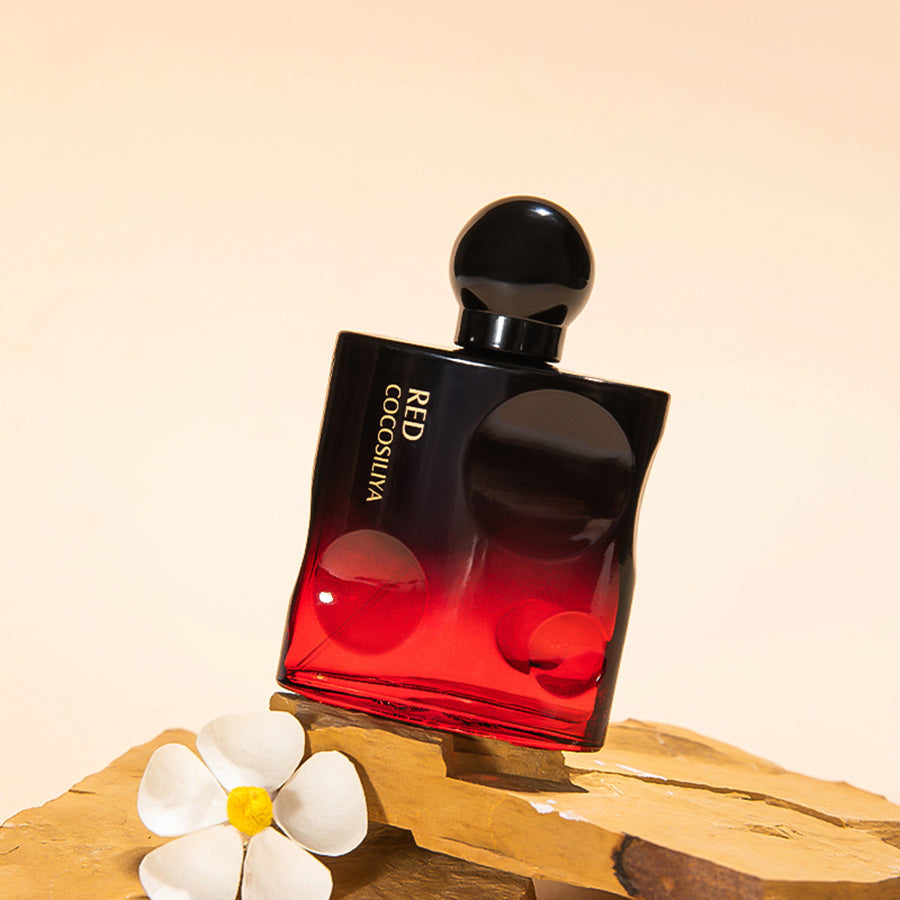 Temptation Perfume – Long Lasting Niche Fragrance