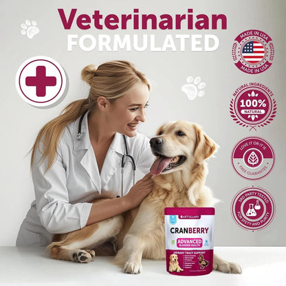 Dog UTI & Bladder Support – Cranberry Supplement for Urinary Tract Health (70 Soft Chews)