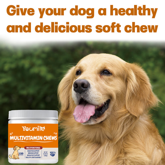 Dog Multivitamin – Multifunctional Health Care Supplement for Pets