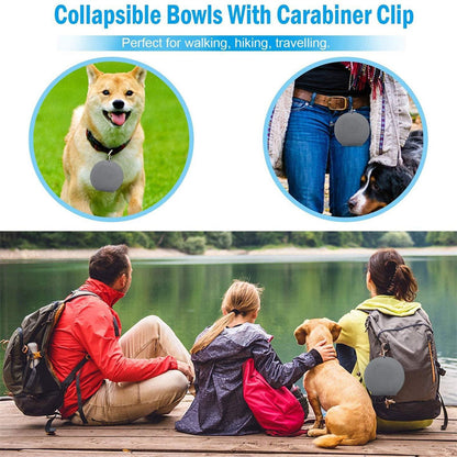 Foldable Double Rubber Pet Feeding Bowl for Dogs & Cats