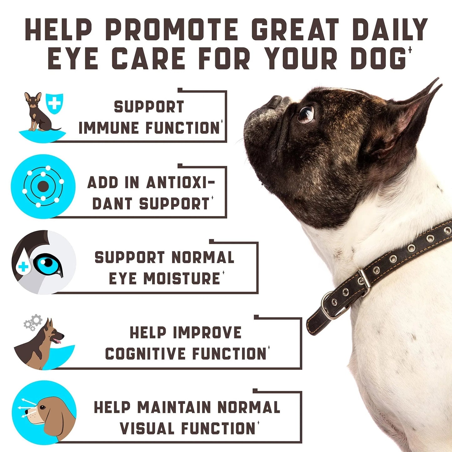 Dog Eye Vitamins – Vision & Tear Stain Support with Immune-Boosting Nutrients