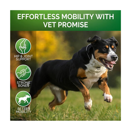 Pet Hip & Joint Supplement with Chondroitin – Support Mobility & Joint Health for Dogs