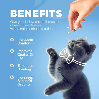 Cat Calming Treats – Hemp & Melatonin Soft Chews with Probiotics for Anxiety Relief