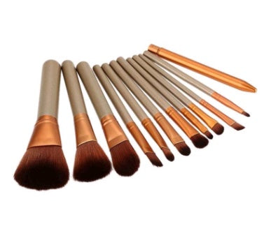 12-Piece Makeup Brush Set with Iron Case