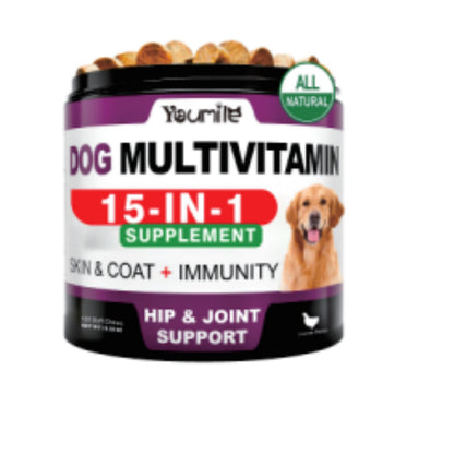 Multivitamin Chews for Dogs – Daily Health, Energy & Immune Support