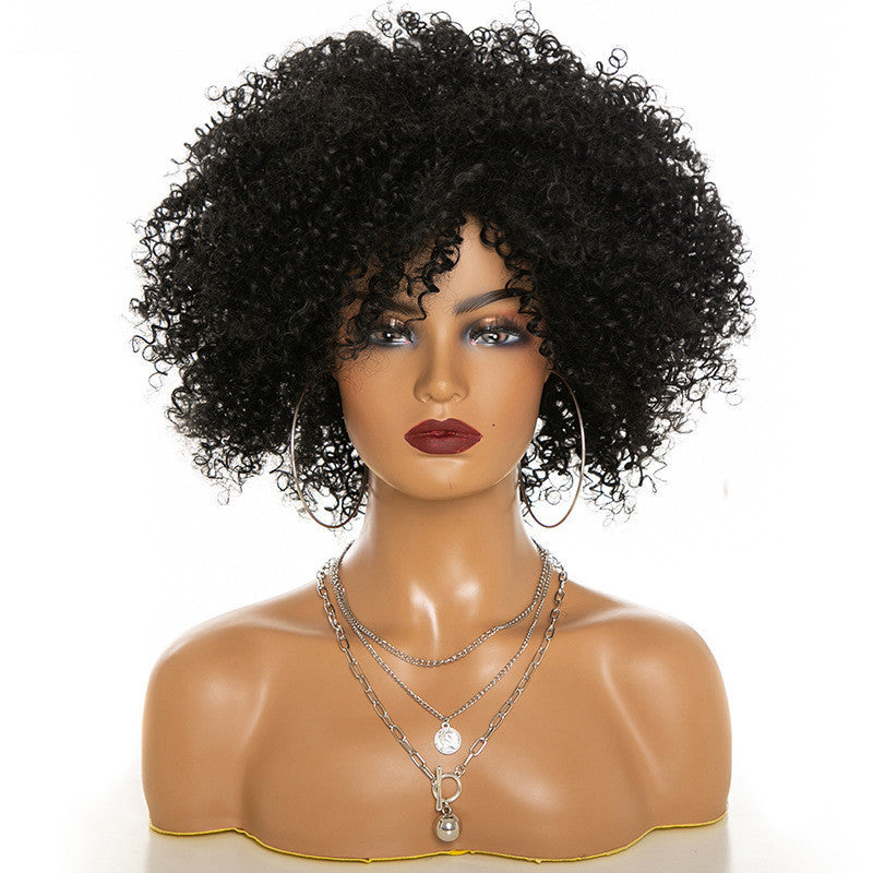 Afro Kinky Curly Human Hair Wig