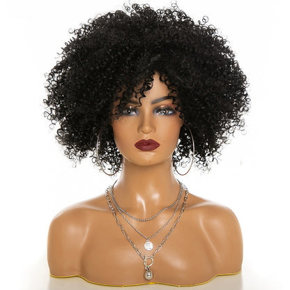 Afro Kinky Curly Human Hair Wig