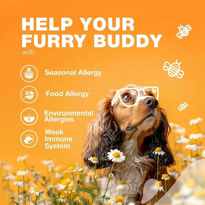Dog Allergy Relief Chews – Anti-Itch Salmon Oil Treats for Skin & Immune Health