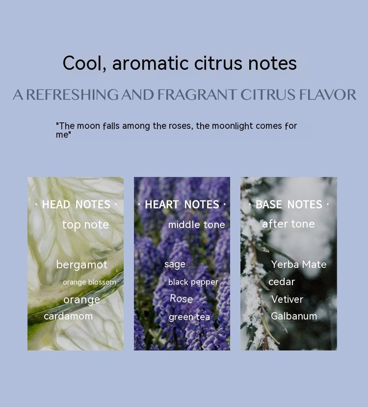 Aromatic Citrus Perfume – Fresh Long-lasting Scent