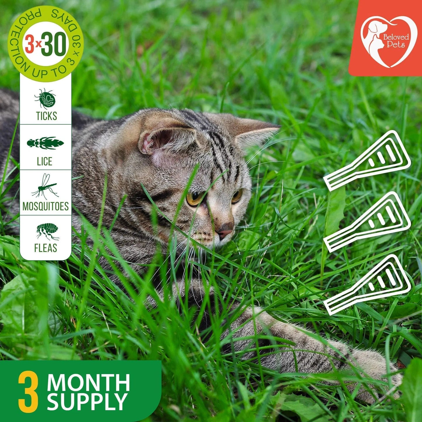 Natural Flea & Tick Prevention for Dogs, Cats & Rabbits – Topical Pest Control & Mosquito Repellent, 3 Drops for Small & Large Pets