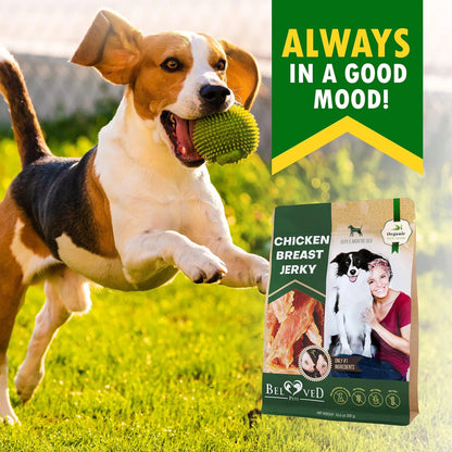 Chicken Jerky Dog Treats – All Natural Grain-Free High Protein Pet Snacks (300g)