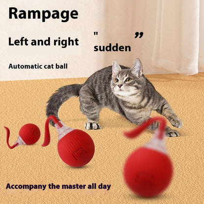 Interactive Cat Toy Ball – Super Drive Rolling Ball for Active Play & Exercise