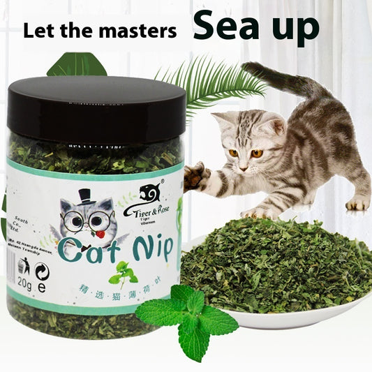 Catnip Tea Powder – 280ML Hairball Control & Digestive Support for Cats