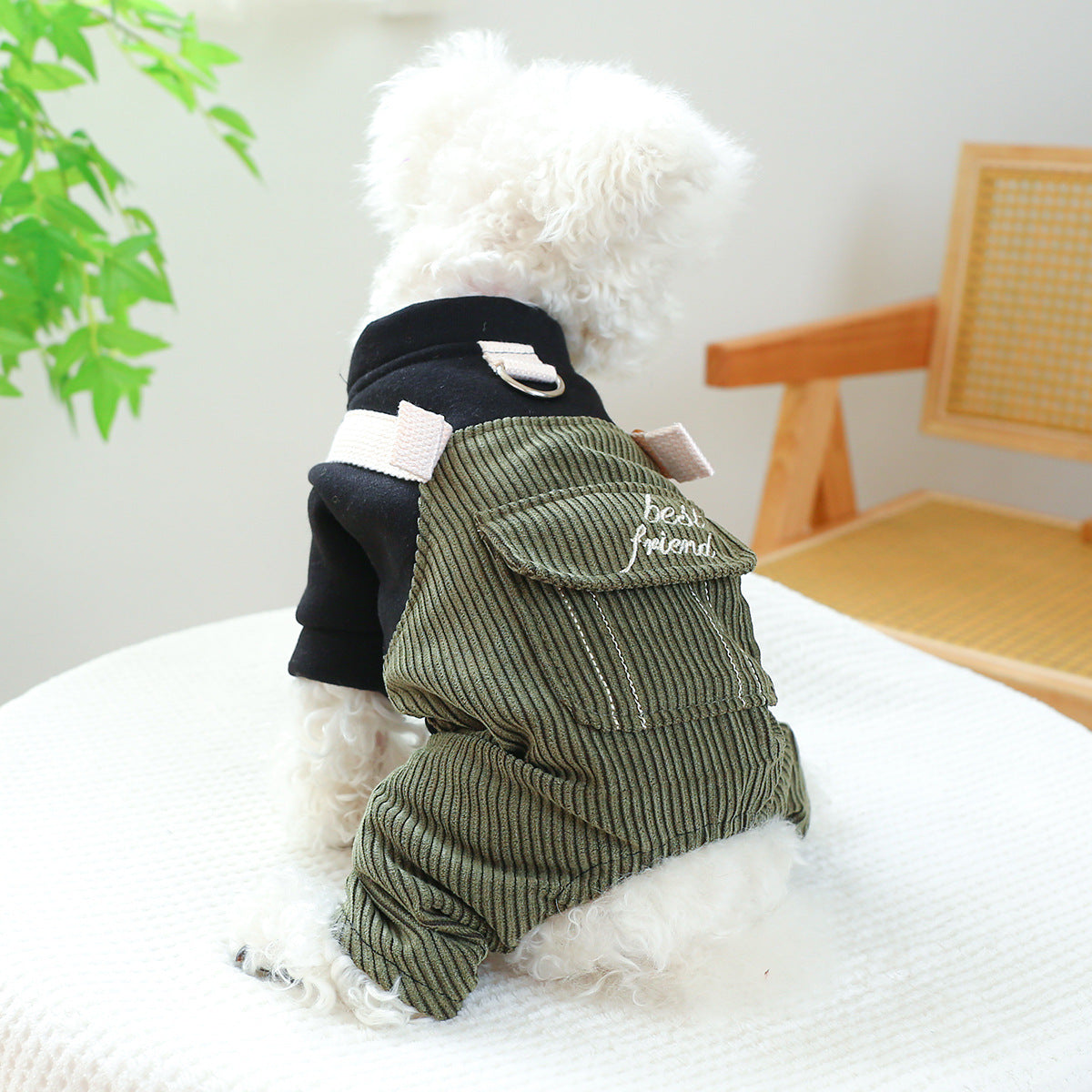 Corduroy Pet Clothes – Cozy Dog & Cat Outfit