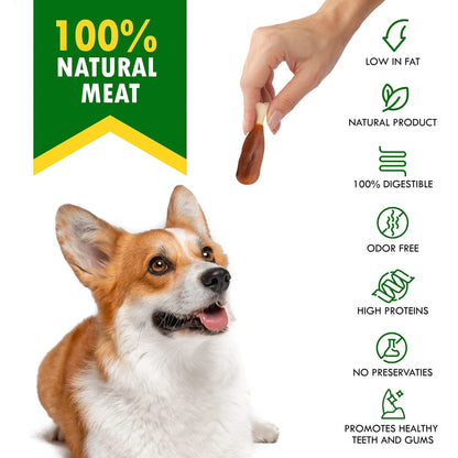Dog Calcium Bones with Chicken – Rawhide-Free Healthy Training Chew Treats