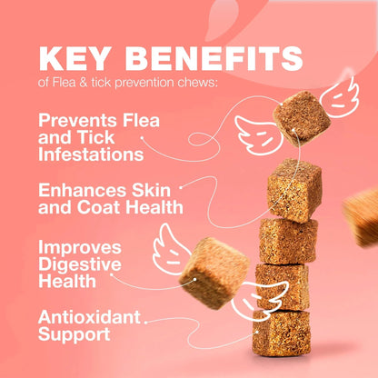 Cat Flea & Tick Chews – Daily Oral Soft Treats for All Breeds & Ages, Natural Chicken Flavor