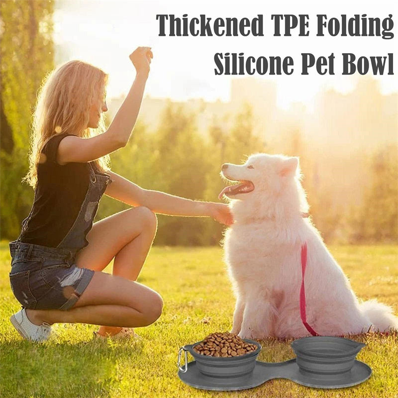 Foldable Double Rubber Pet Feeding Bowl for Dogs & Cats