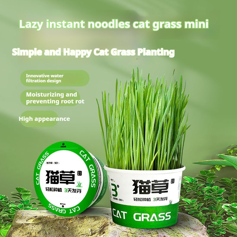 Lazy Cat Grass Cans – Hydroponic Soilless Digestive & Hairball Support Snacks