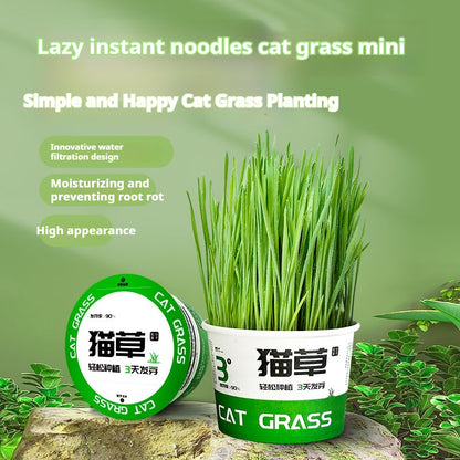Lazy Cat Grass Cans – Hydroponic Soilless Digestive & Hairball Support Snacks