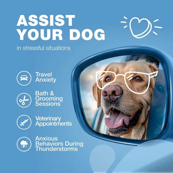 Hemp Calming Chews for Dogs – Anxiety Relief Treats for Stress & Relaxation