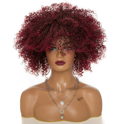 Afro Kinky Curly Human Hair Wig