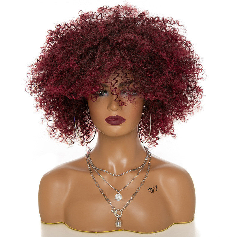 Afro Kinky Curly Human Hair Wig