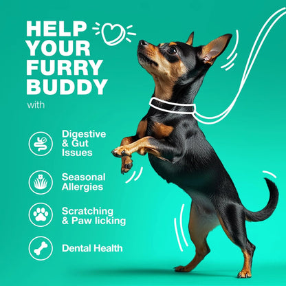 Dog Probiotics & Digestive Enzymes – Gut Health, Immunity & Allergy Support (180 Chews)