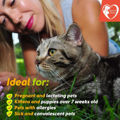 Natural Flea & Tick Prevention for Dogs, Cats & Rabbits – Topical Pest Control & Mosquito Repellent, 3 Drops for Small & Large Pets