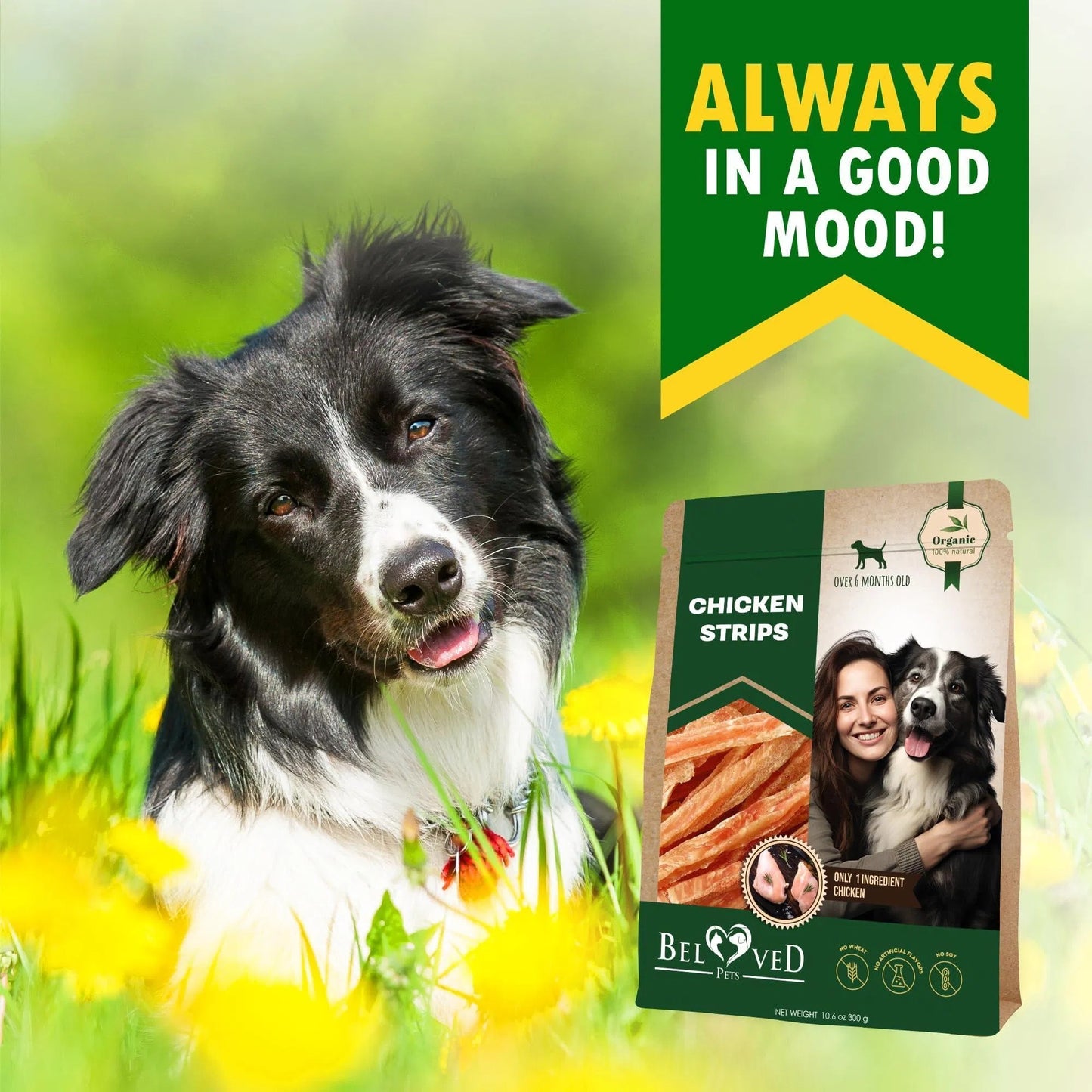 Chicken Strips Dog Treats – Human Grade Grain-Free Meat Sticks (10.6 oz)