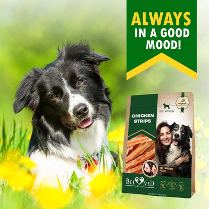 Chicken Strips Dog Treats – Human Grade Grain-Free Meat Sticks (10.6 oz)
