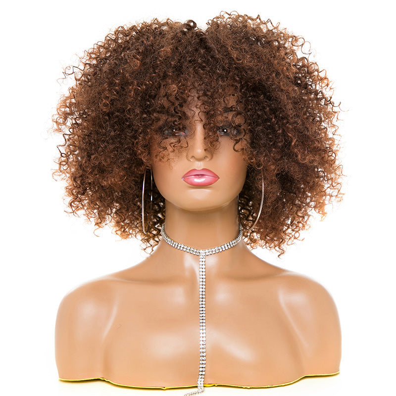Afro Kinky Curly Human Hair Wig